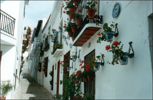 calle Real de Salobrea